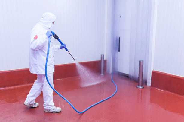 Best Oil Spill Cleanup  in Anchor Point, AK